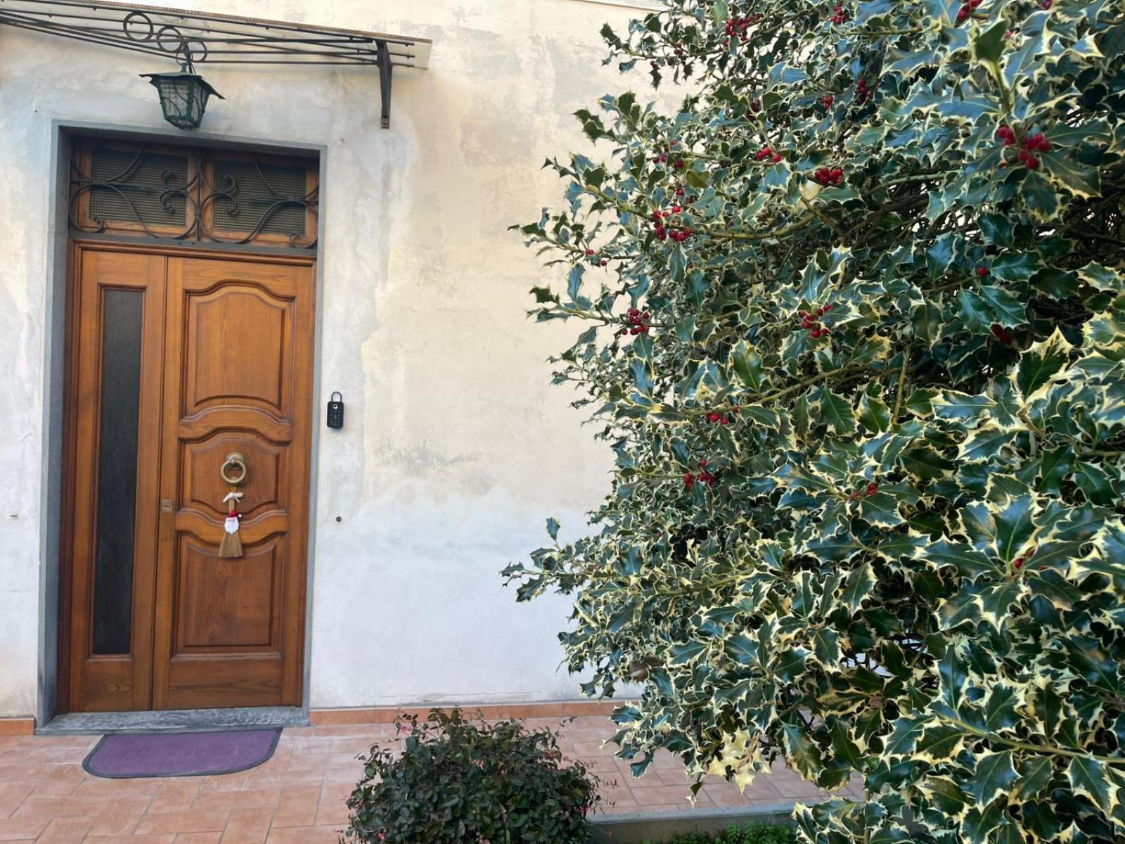 Apartament Violet - La Casa Del Pucci Lukka Zewnętrze zdjęcie